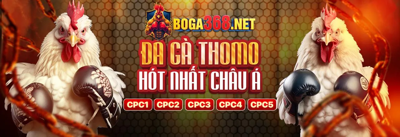 Hình ảnh đội ngũ chuyên gia Roobet Review